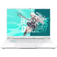 ASUS TUF Gaming Tianxuan F16 FX608LP275-0ECFXHB8X10